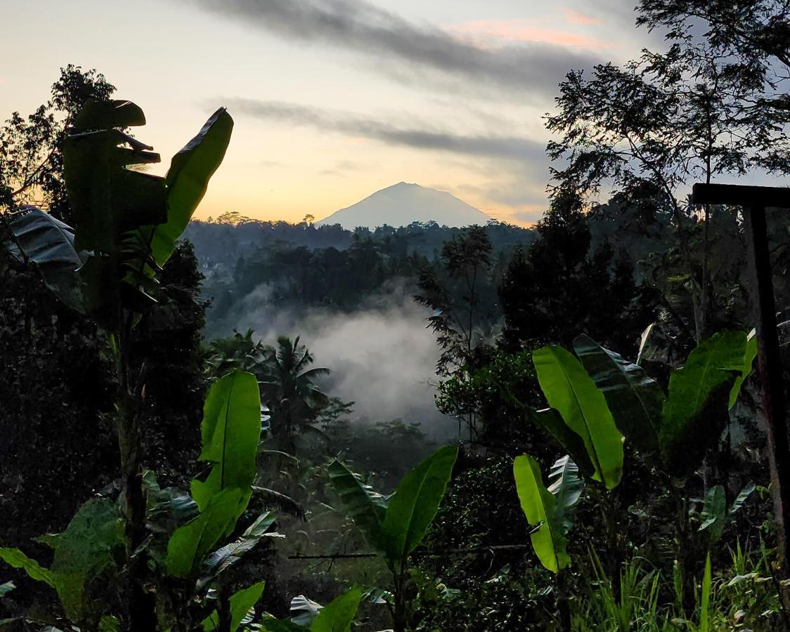 Delta Casa Ubud-Cozy Tropical Villas With Volcano View Payangan Exterior foto