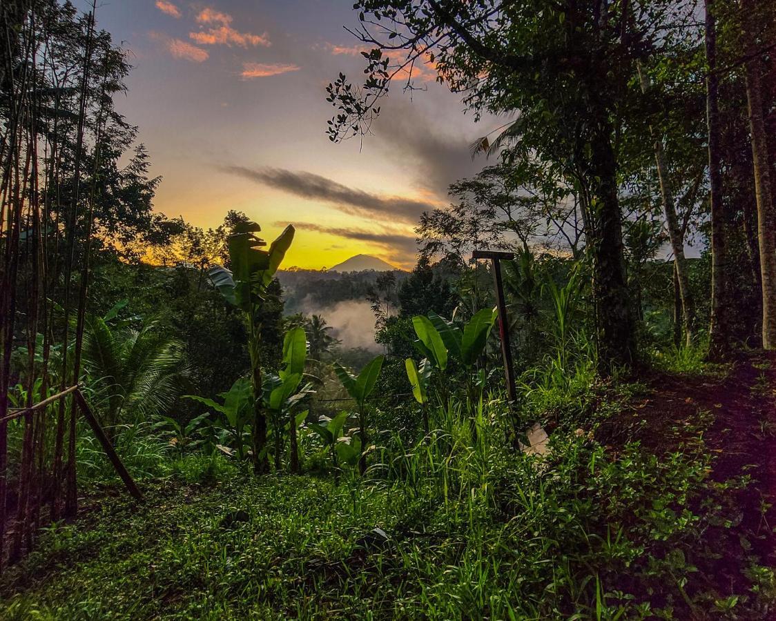 Delta Casa Ubud-Cozy Tropical Villas With Volcano View Payangan Exterior foto