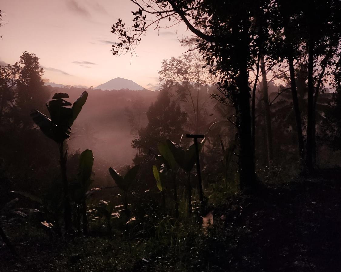 Delta Casa Ubud-Cozy Tropical Villas With Volcano View Payangan Exterior foto