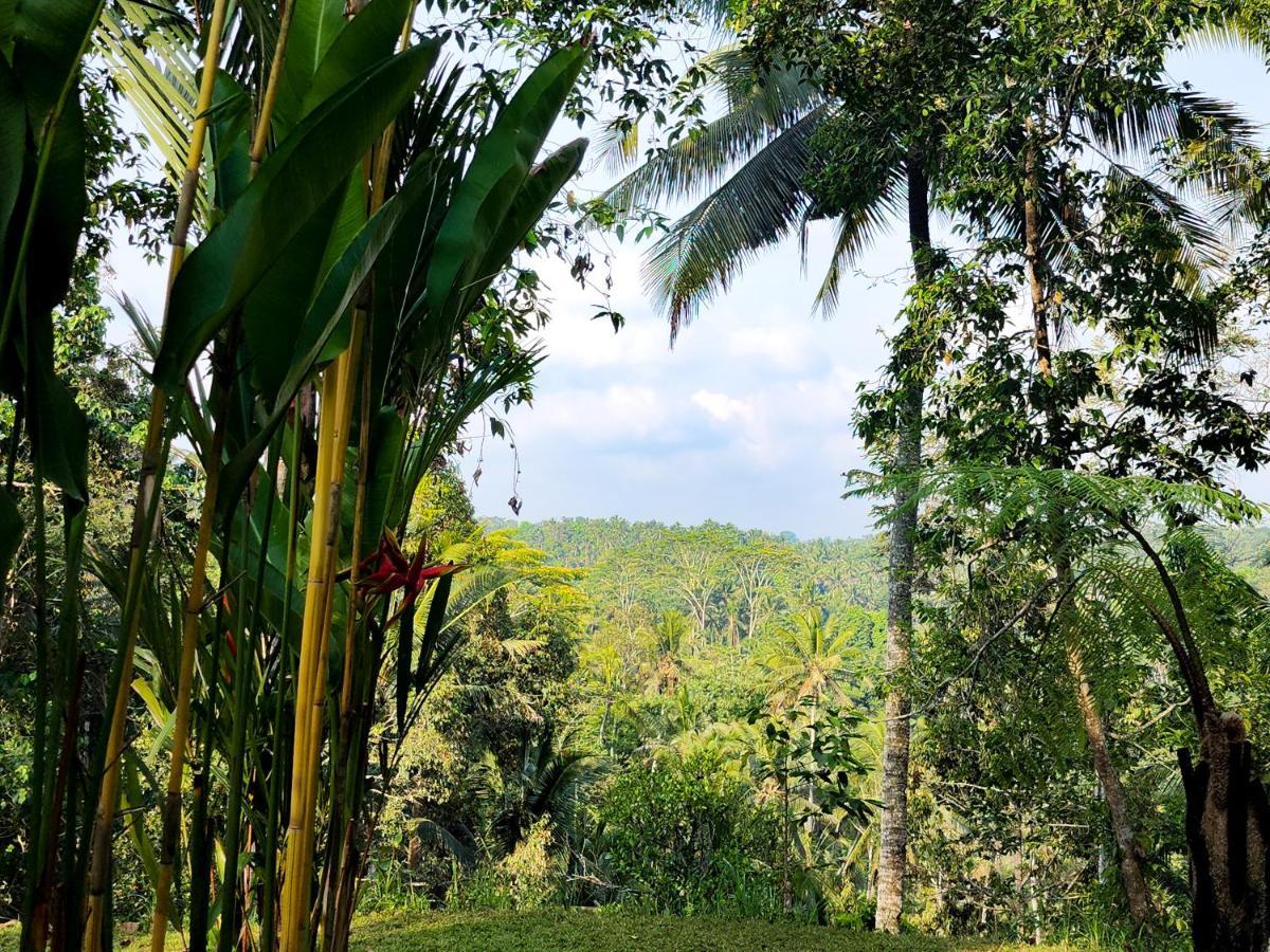 Delta Casa Ubud-Cozy Tropical Villas With Volcano View Payangan Exterior foto